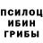 Галлюциногенные грибы Psilocybe Desperado Crazy