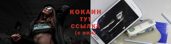 гидра Грязи