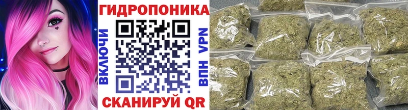 МАРИХУАНА Ganja  Торопец 